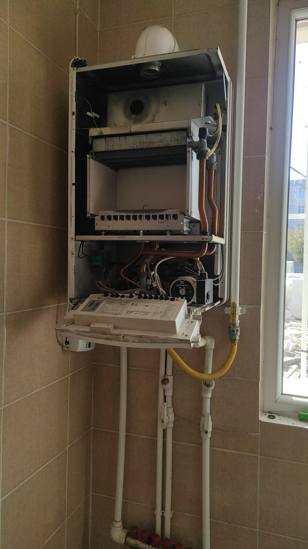 Servis 6